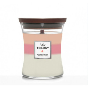 WoodWick Trilogy Blooming Orchard Candle Žvakė Medium