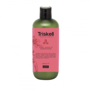 Triskell Botanical Treatment Color Preserve Conditioner Spalvą apsaugantis kondicionierius 1000ml