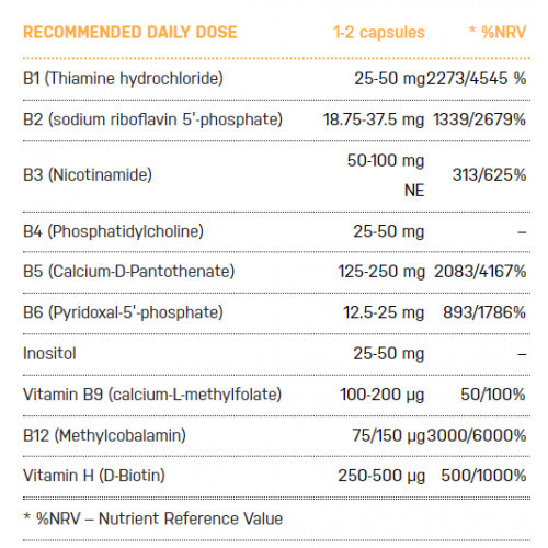 Ecosh B-Complex Maisto papildas Bioaktyvus B vitaminų kompleksas 90 kapsulių