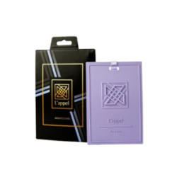 L'appel Scented Card Automobilinis ir spintos kvapusis pakabukas dėžutėje Delux