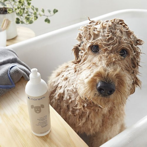 Norwex 2in1 Dog Shampoo and Conditioner Šampūnas ir kondicionierius šunims 355ml