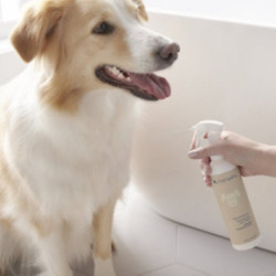 Norwex Dog Deodorizer Dezodorantas šunims 235ml