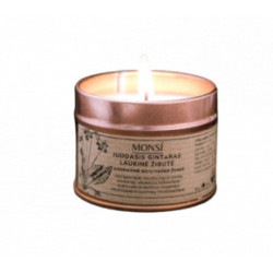 Monsi Aromatic Candle Black Amber With Wild Violet Aromatinė žvakė Juodasis gintaras ir laukinė žibutė 100ml