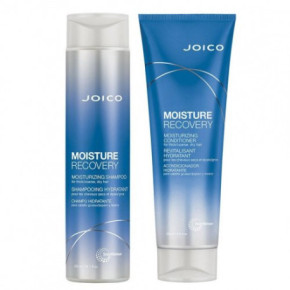 Joico Rinkinys: Moisture Recovery šampūnas ir kondicionierius (300+250ml)