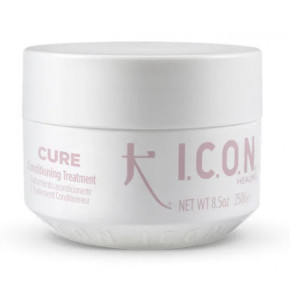 I.C.O.N. Cure Conditioning Treatment Kondicionuojanti kaukė 250ml