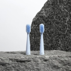 Alpine White Sonic Toothbrush Replacement Heads Keičiamos galvutės dantų šepetėliui 2vnt