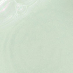 Beauty of Joseon Green Plum Refreshing Toner : AHA + BHA Gaivinantis žaliųjų slyvų tonikas 150ml