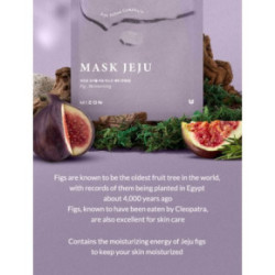 Mizon Joyful Time Mask Jeju Fig Lakštinė veido kaukė 1 vnt.