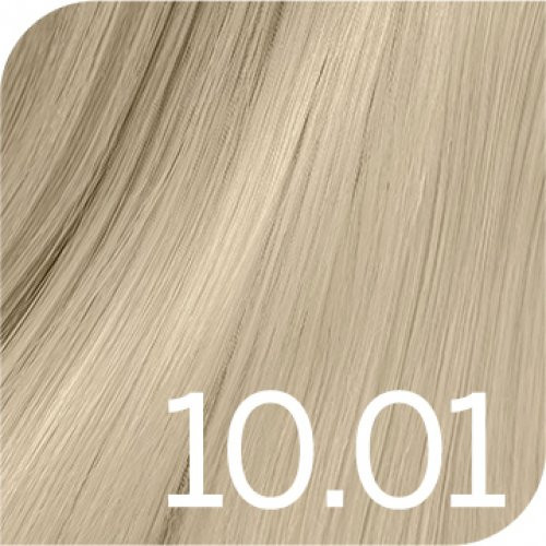Revlon Professional Revlonissimo Colorsmetique Permanent Hair Color COOLS Profesionalūs plaukų dažai 60ml