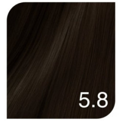 Revlon Professional Color Excel Gloss Acidic Gloss Treatment + Color Excel Gloss Energizer Plaukų dažai ir oksidacinė emulsija Rinkinys