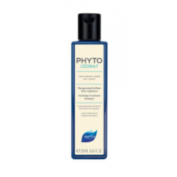Phyto Phytopanama Purifying Treatment Shampoo Valomasis šampūnas 250ml