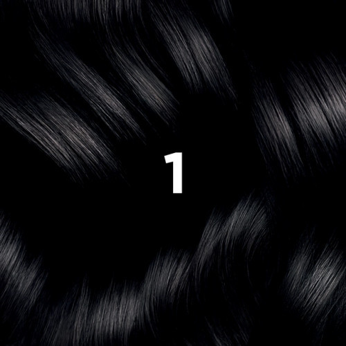 Phyto Permanent Hair Color Plaukų dažai be amoniako 1 Black
