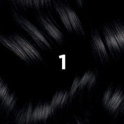 Phyto Permanent Hair Color Plaukų dažai be amoniako 1 Black