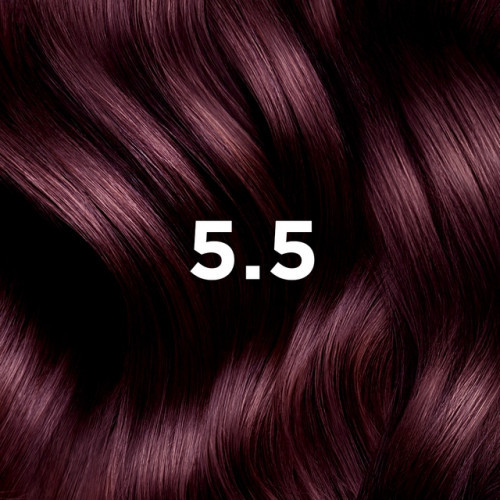 Phyto Permanent Hair Color Plaukų dažai be amoniako 1 Black