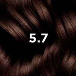 Phyto Permanent Hair Color Plaukų dažai be amoniako 1 Black
