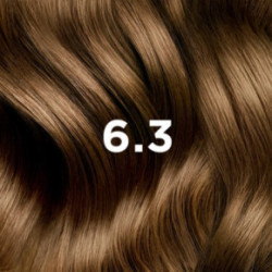 Phyto Permanent Hair Color Plaukų dažai be amoniako 1 Black