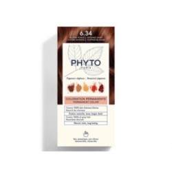 Phyto Permanent Hair Color Plaukų dažai be amoniako 1 Black