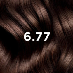 Phyto Permanent Hair Color Plaukų dažai be amoniako 1 Black
