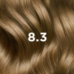 Phyto Permanent Hair Color Plaukų dažai be amoniako 1 Black