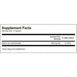 SWANSON Niacinamide 500mg Energy and Cardiovascular Support Vitaminas B3, niacinas 250 kapsulių