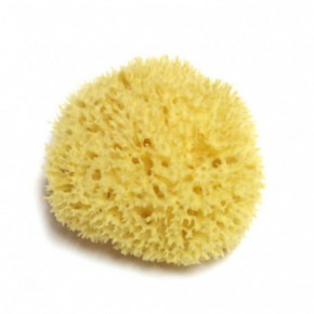 Hydrea London Honeycomb Sea Sponge Natūrali jūros kempinė ~13 cm