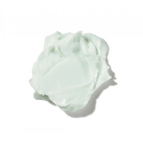 FACE Stockholm Aloe Vera Cream Veido kremas 57g