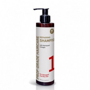 GMT BEAUTY Prof-Grade Haircare Repairing Shampoo Regeneruojantis plaukų šampūnas 250ml