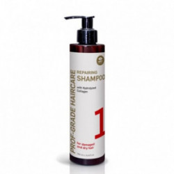 GMT BEAUTY Prof-Grade Haircare Repairing Shampoo Regeneruojantis plaukų šampūnas 250ml