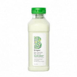 Briogeo Be Gentle, Be Kind Kale + Apple Replenishing Conditioner Kondicionierius 369ml