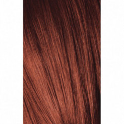 Schwarzkopf Professional Igora Royal Color10 Plaukų dažai 60ml