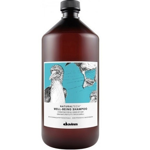 Davines Well-Being Hydrating Shampoo Kasdienis, drėkinantis šampūnas 250ml