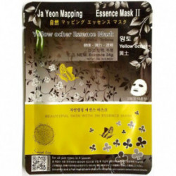 Ja Yeon Mapping Yellow Ocher Mask Veido kaukė su geltonosios ochros ekstraktu 24g