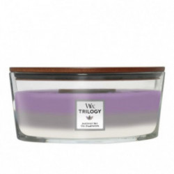 WoodWick Amethyst Sky Candle Žvakė Heartwick