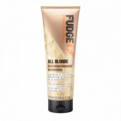 Fudge professional All Blonde Colour Boost Shampoo Šviesią plaukų spalvą atkuriantis šampūnas 250ml