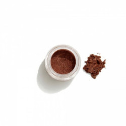 GOSH Copenhagen Effect Powder Akių šešėliai 4g