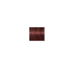 Schwarzkopf Professional Igora Royal Absolutes Permanent Anti-Age Color Creme Plaukų dažai 60ml