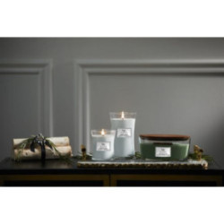 WoodWick Mint Leaves & Oak Candle Žvakė Heartwick