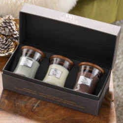 WoodWick Mini Core Fireside, White teak, Stone Washed Suede Gift Set Žvakių rinkinys dovanų dėžutėje 3vnt