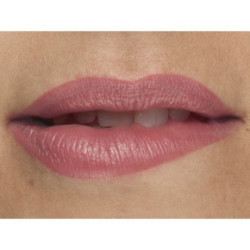 Isadora Perfect Moisture Lipstick Lūpų dažai 10 Bare Pink