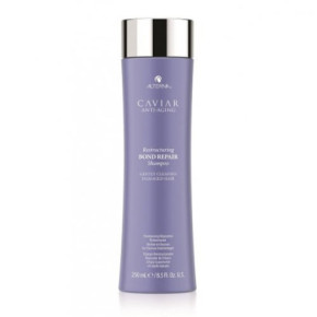 Alterna Caviar Restructuring Bond Repair Shampoo Atstatomasis šampūnas 250ml
