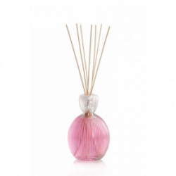 Mr&Mrs Fragrance Queen 02 Reed Diffuser Namų kvapas - difuzorius 500ml