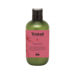 Triskell Botanical Treatment Color Preserve Conditioner Spalvą apsaugantis kondicionierius 300ml